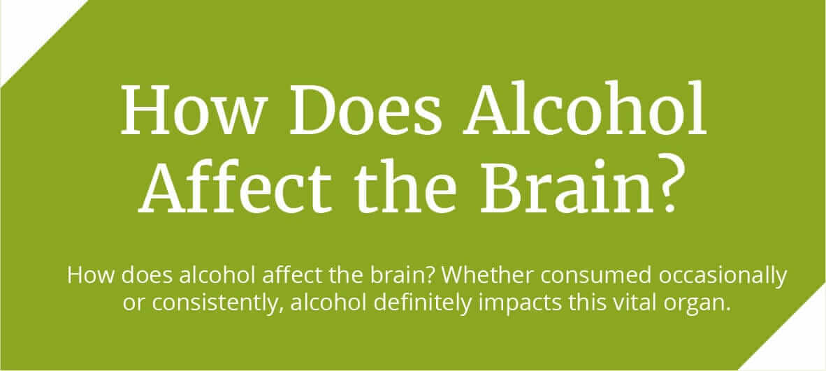 How Does Alcohol Affect the Brain? Our Infographic Has the Answers