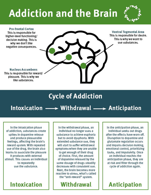 How Does Addiction Affect The Brain Ashley Treatment 