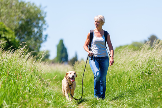 mature woman with rucksack hiking with a dog in the summer landscape